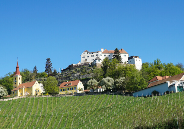     Schloss Kapfenstein der Familie Winkler-Hermaden / Schloss Kapfenstein